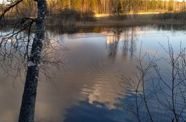 Задубье. Фото 3146.