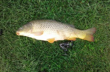 Ново-Никольский пруд. Фото 3177.