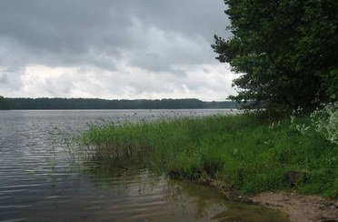 Валдайская усадьба. Фото 3180.