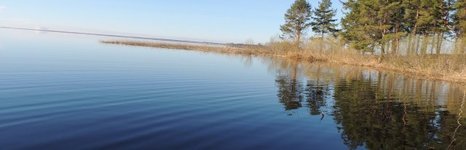 Волчица. Фото 3276.
