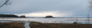Волчица. Фото 3277.