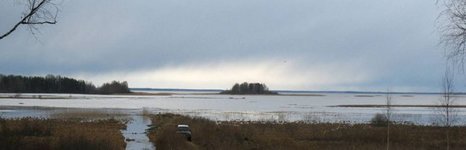 Волчица. Фото 3277.