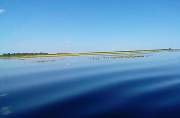 Волчица. Фото 3278.