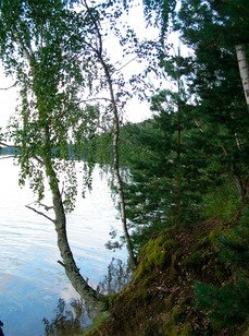 Рыбинка. Фото 3281.