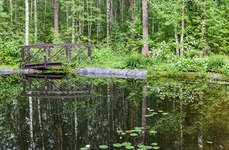 Рыбинка. Фото 3284.