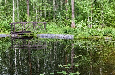 Рыбинка. Фото 3284.