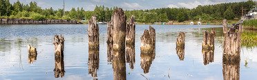 Рыбинка. Фото 3285.