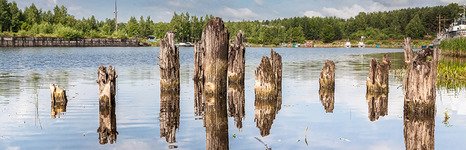 Рыбинка. Фото 3285.