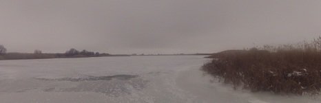 Ниновка. Фото 3294.