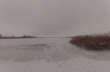 Ниновка. Фото 3294.