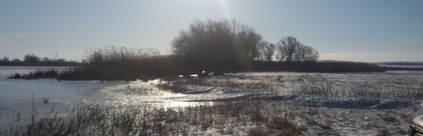 Ниновка. Фото 3296.