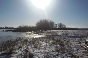 Ниновка. Фото 3296.
