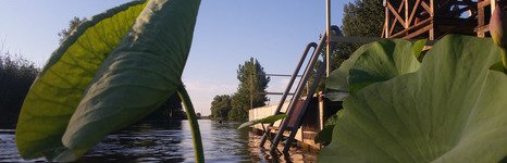Остров Колочный. Фото 3356.