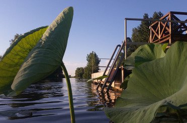 Остров Колочный. Фото 3356.