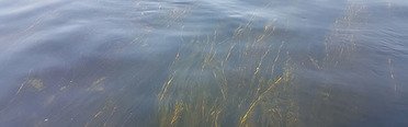 Остров Колочный. Фото 3357.