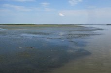 Остров Колочный. Фото 3363.