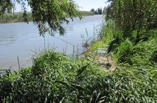 Остров Колочный. Фото 3364.