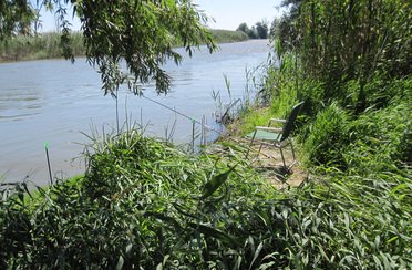 Остров Колочный. Фото 3364.