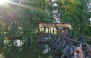 Остров Колочный. Фото 3367.