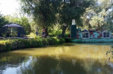 Komarovfish. Фото 3394.