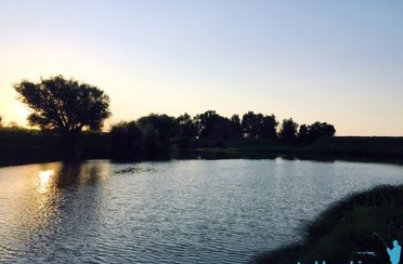 Трехречье. Фото 3398.