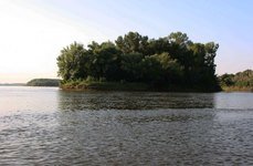 Судаковый рай. Фото 3412.