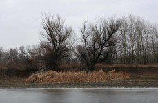 Судаковый рай. Фото 3417.