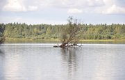 Верхневолжье. Фото 3436.