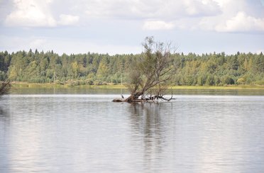 Верхневолжье. Фото 3436.