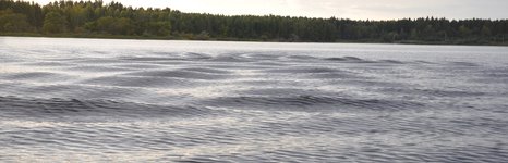 Верхневолжье. Фото 3439.