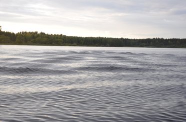 Верхневолжье. Фото 3439.