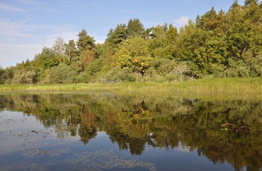 Верхневолжье. Фото 3442.