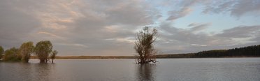 Верхневолжье. Фото 3443.