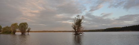Верхневолжье. Фото 3443.