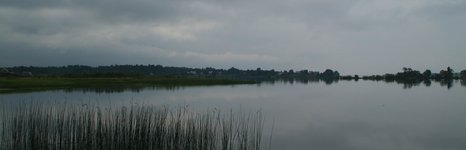 Верхневолжье. Фото 3449.