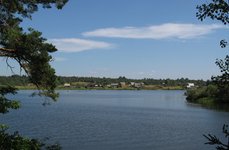 Верхневолжье. Фото 3450.