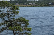Верхневолжье. Фото 3451.