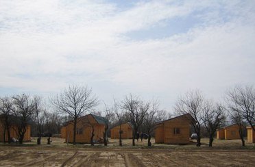 World-Fish. Фото 3452.