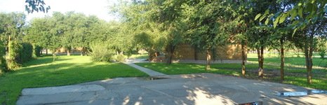 World-Fish. Фото 3456.