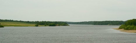 Хлепень. Фото 3469.
