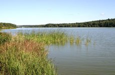Торбеево озеро. Фото 347.