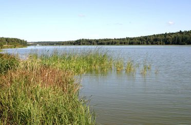 Торбеево озеро. Фото 347.