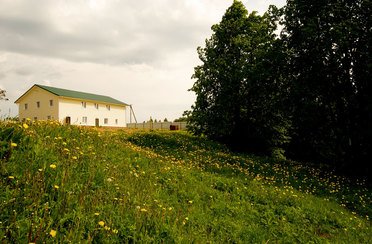 Хлепень. Фото 3471.