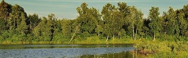 Зубово. Фото 3489.