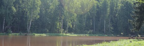 Клёвое место. Фото 3518.