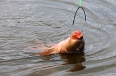 X-Land. Фото 3521.