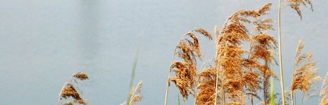 Бисеровский рыбокомбинат. Фото 3541.