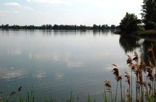 Бисеровский рыбокомбинат. Фото 3542.