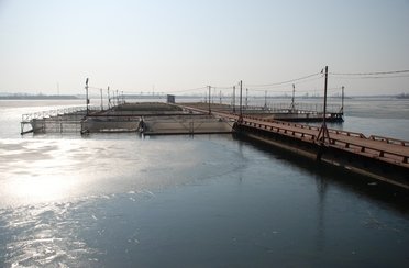 Бисеровский рыбокомбинат. Фото 3554.