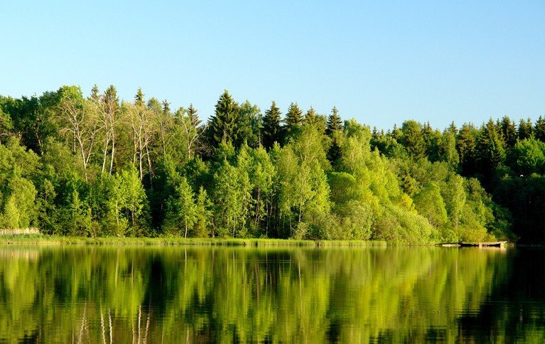 Шейно